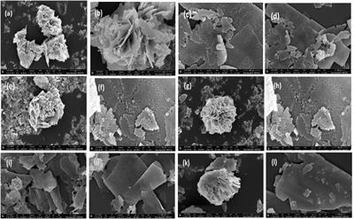 Exploring Mo-ZnO@NF for hydrogen generation and methylene blue remediation: sunlight-driven catalysis